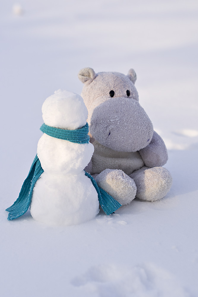 Tiny Hippo and Snow Man with Blue Scarf