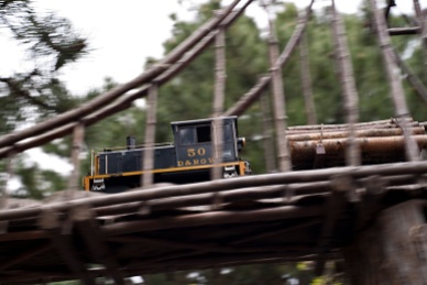 The logging train works high above visitors heads