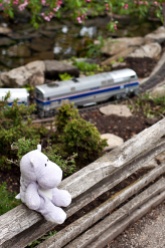 Model Railroad Garden and Tiny Hippo