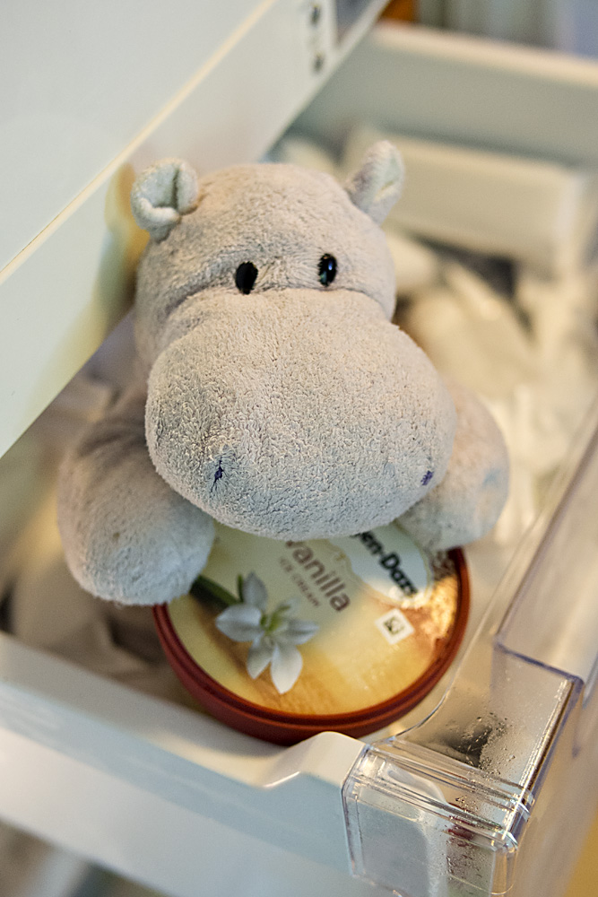 Tiny Hippo has Ice Cream