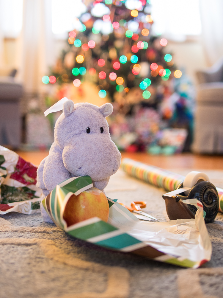 Tiny Hippo Tries to Use Wrapping Paper