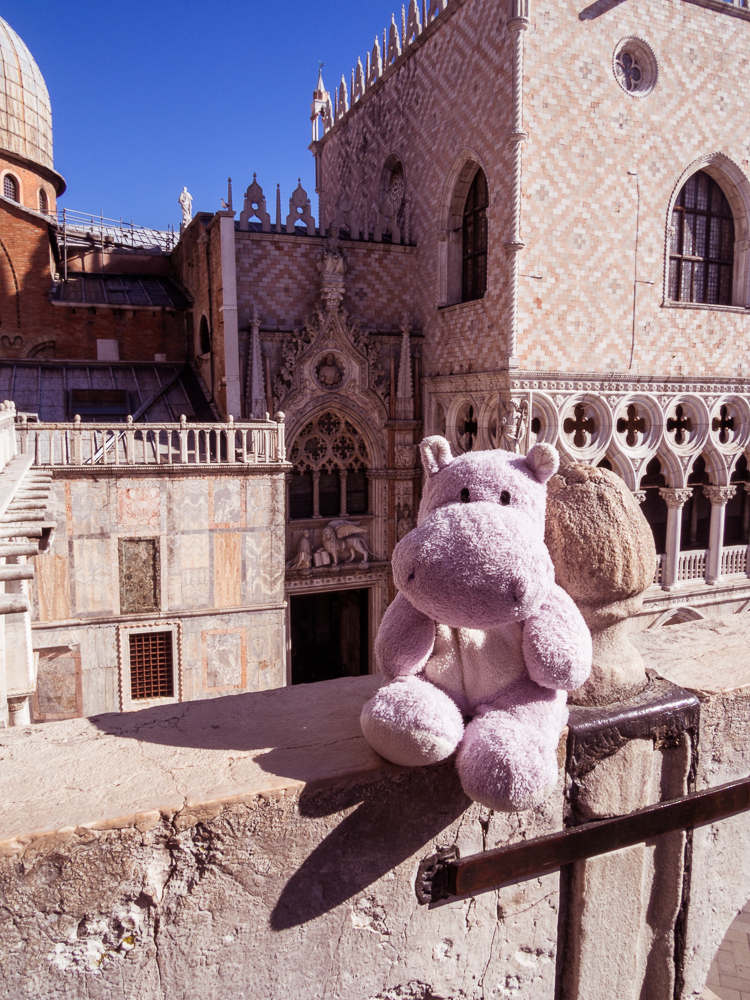 Tiny Hippo in Fornt of the Porta della Carta