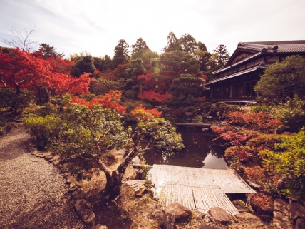 Yoshikien Garden in the Fall