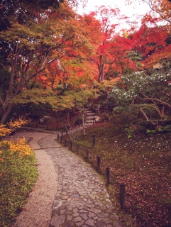 Yoshikien Garden Path