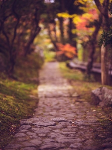 Path in Nara Garden